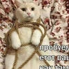 плачу и др04у