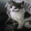 Микрофон Саяки