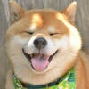 ShIbA_TeA