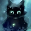 Midnight_Cat_31