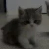 Забытый_осколок_в_стакане_души