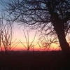 Lenok_123