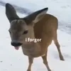 пустое имя.