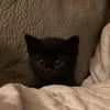 Человек-который-зависим