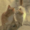 Общество литературных гениев