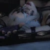wifesindel