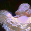 www.freakystuff