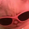 Shalfey_the_KraB