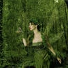 fairy_tom