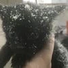 Рай для котят