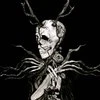 Author needs night