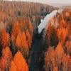 Мистер Рай