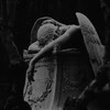 Bloody Angel 1319