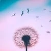 Хранительница твоих мечт