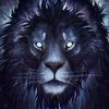 Lion17