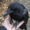 Психо_Мысли