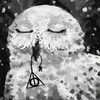 Potteriana_coul