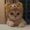 Коул Майклсон