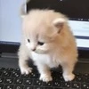 prtmqwepo2