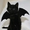 vampire.v