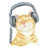 Милашка-кошка