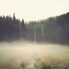 ossia