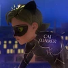 Cat_Walker