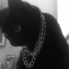 твитвенд