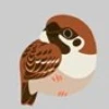 Old Sparrow