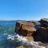 Дарья Аморохина