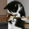 F0nya_key4ik