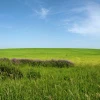 Арсений Пастухов
