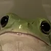 Оля Уайлд