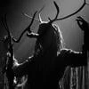 Дана Роуз