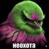 Саня Орехов