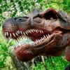 irritator