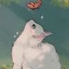 Katarakt