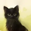 Лэнтис