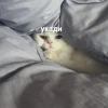 Яна Ведьмак