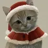 Милиза Вилиза в сердце