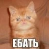 Семьсот двенадцать