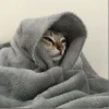 _Носок судьбы_