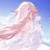 Valldxp