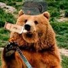 Плюшевый-Медвежонок