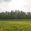 Мария_с_Земли