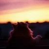 the sadness of summer