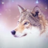 Лисёнок_Нимфа 17