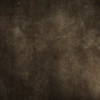 ГвиДон_ВишНевский