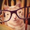 Котякс.