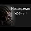 НЗХ